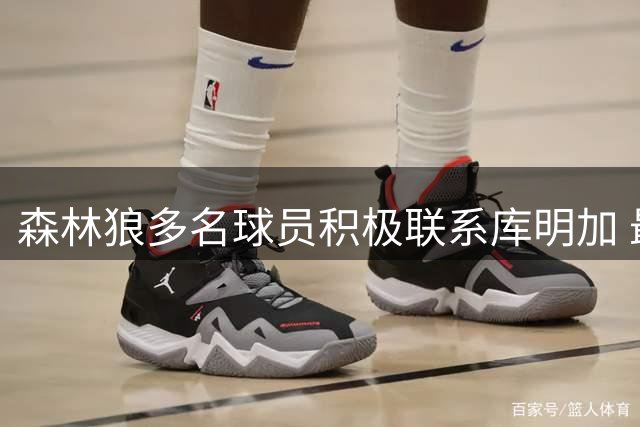 森林狼多名球员积极联系库明加 最终促成签约